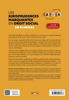 Les jurisprudences marquantes en droit social - en schémas